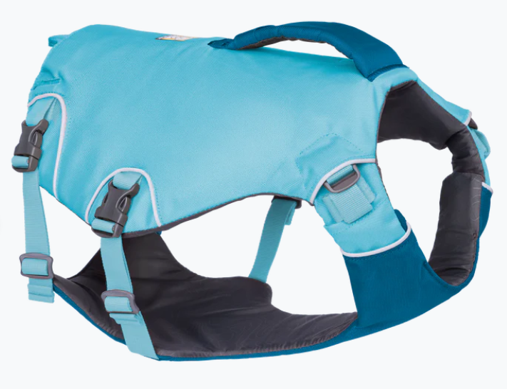 dog's life jacket